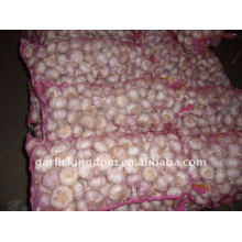 sell 2011 china export garlic